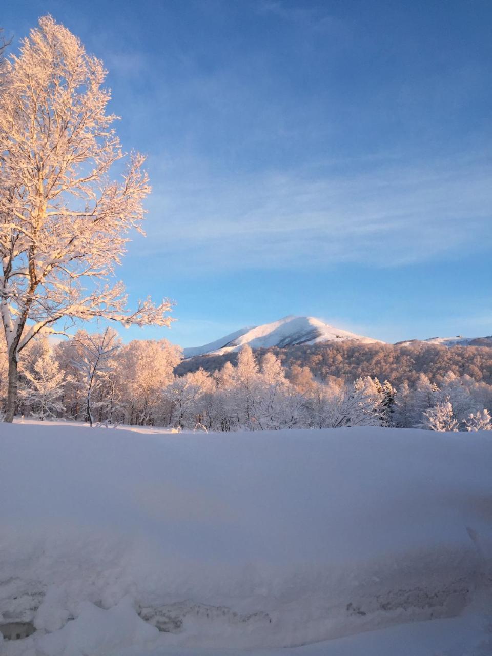 Niseko Guesthouse Nalu. Exteriör bild